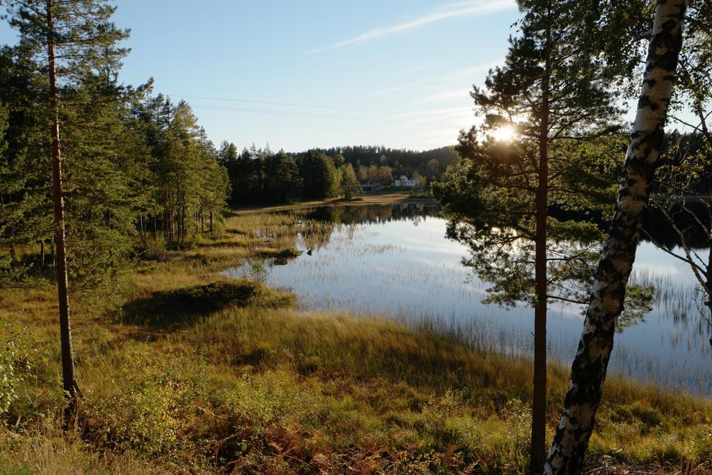 Bjorkeskogen Apartment Mjavatn Екстериор снимка